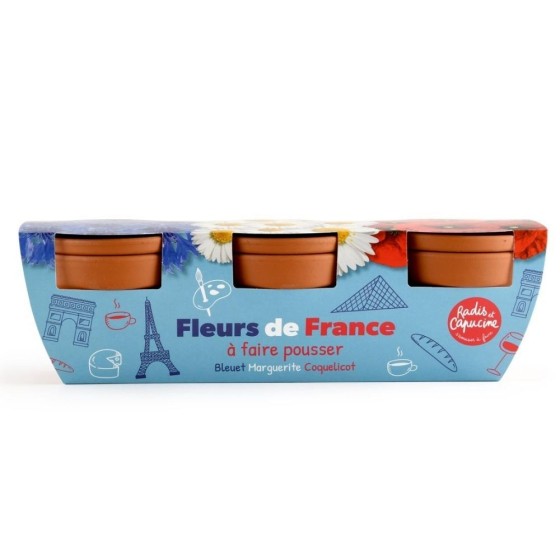 Trio fleurs bleu blanc rouge