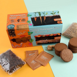 Vivarium Racines vers de terre