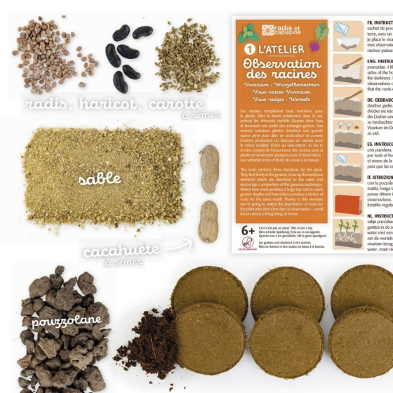 Vivarium Racines vers de terre