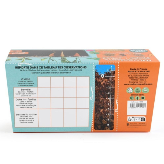 Vivarium Racines vers de terre