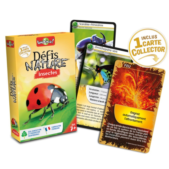 Défis nature : les insectes