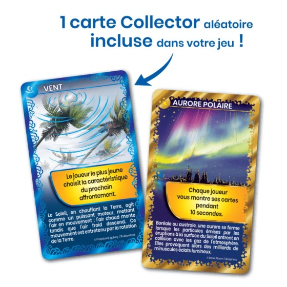 Défis nature : les insectes