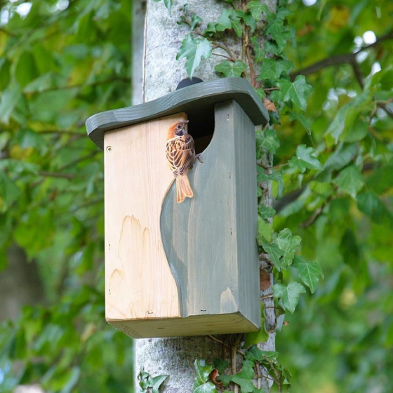 Nichoir avec cavité incurvée : mésanges, moineaux, Gobemouches...
