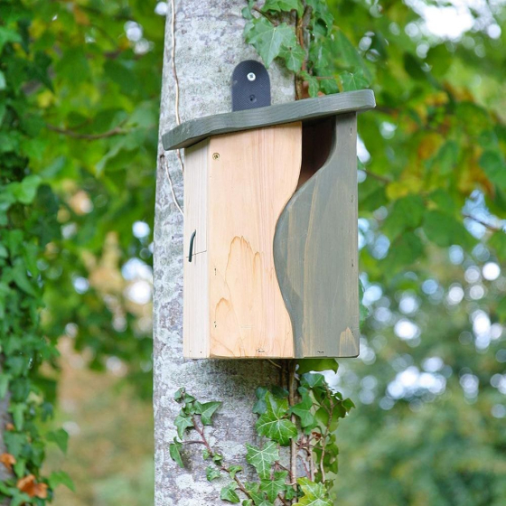 Nichoir avec cavité incurvée : mésanges, moineaux, Gobemouches...
