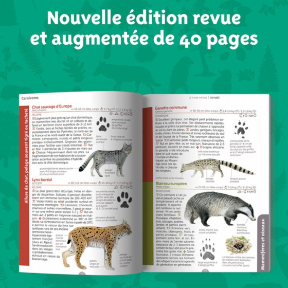 Le guide nature - En forêt - 2ème édition