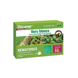 Nematode contre les palmiers