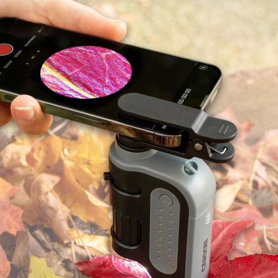 Microscope de poche MicroBrite Plus LED 60-120x avec adaptateur pour smartphone