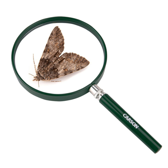 Grande Loupe BigEye en acrylique 2x (12,7 cm)