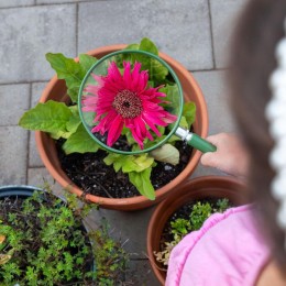 Grande Loupe BigEye en acrylique 2x (12,7 cm)