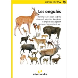 Miniguide 134 - Les ongulés