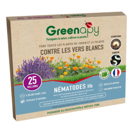 Nématodes HB anti vers blancs 25M - 50m²