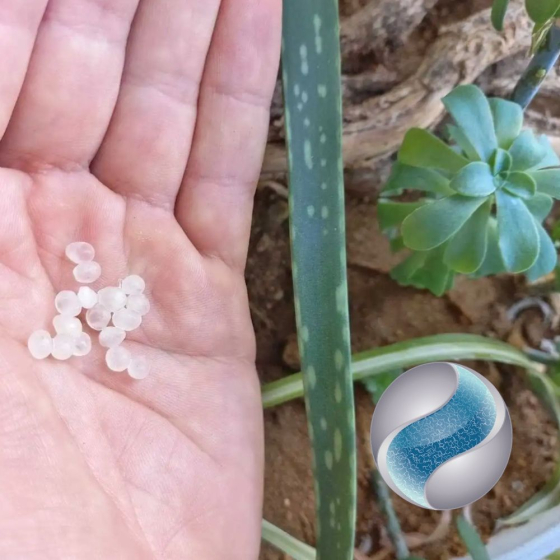 Nématodes mouches des terreaux en micro-capsules par 200