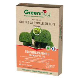 Trichogrammes anti pyrale de buis Tricholine Buxus