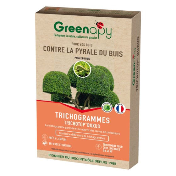 Trichogrammes anti pyrale de buis Tricholine Buxus