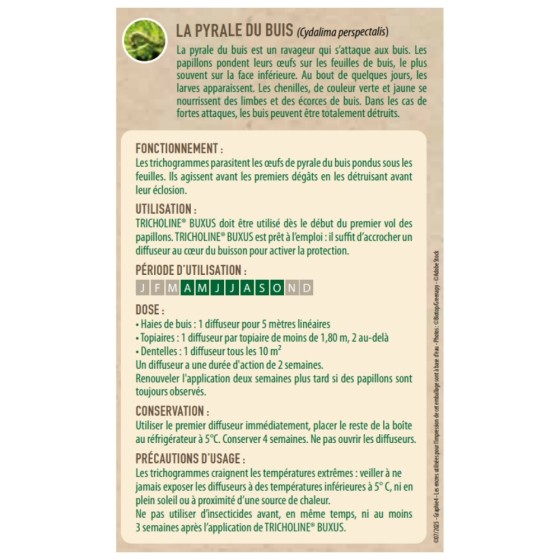 Trichogrammes anti pyrale de buis Tricholine Buxus