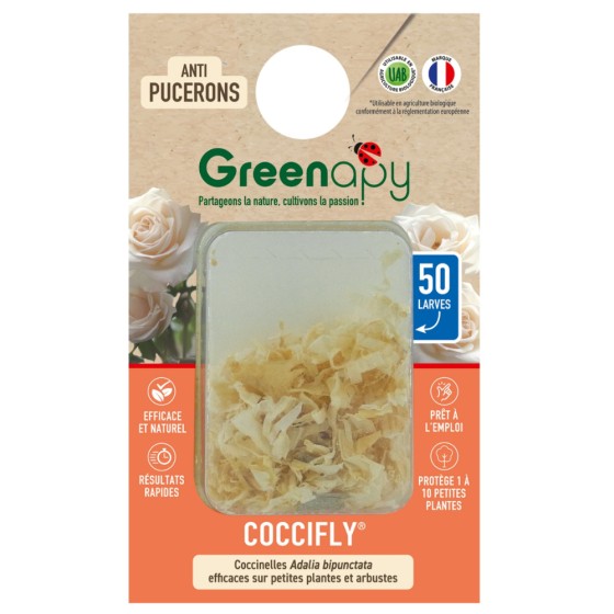 50 larves coccinelles anti-pucerons - Coccifly