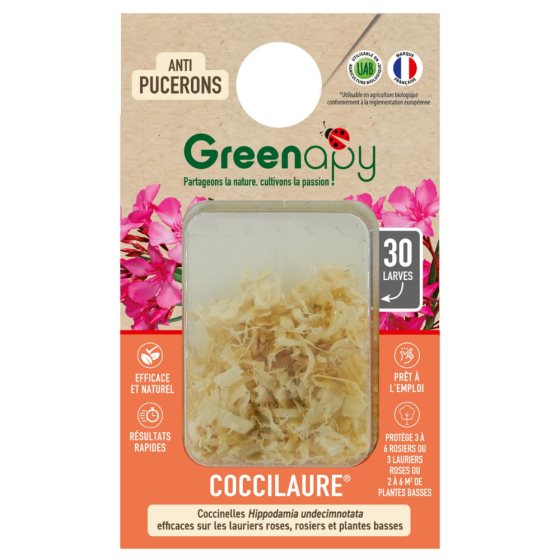 30 larves coccinelles anti-pucerons - Coccilaure
