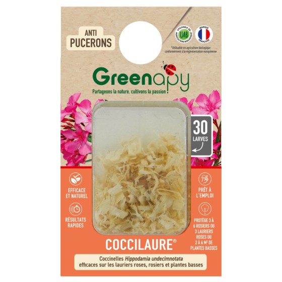 30 larves coccinelles anti-pucerons - Coccilaure