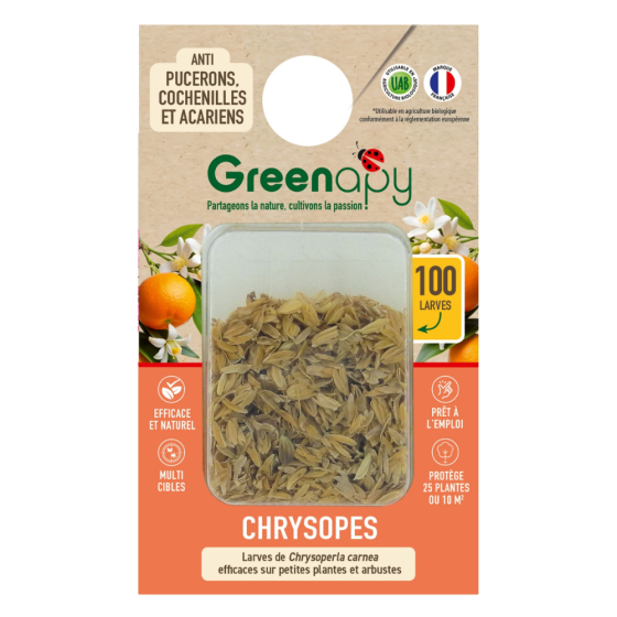 100 larves chrysopes anti-pucerons, cochenilles et acariens