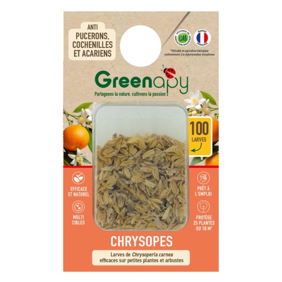 100 larves chrysopes anti-pucerons, cochenilles et acariens
