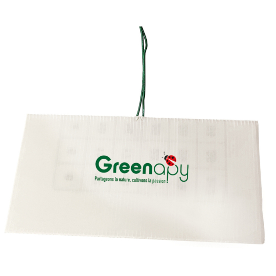 Piège DACOTRAP détection des mouche des fruits