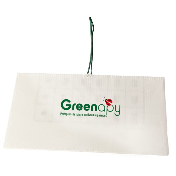 Piège DACOTRAP détection des mouche des fruits