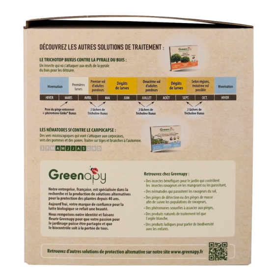 Piège entonnoir : papillons (mineuse, carpocapses)