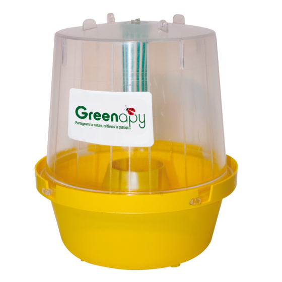 Piège mouche : mouche des fruits