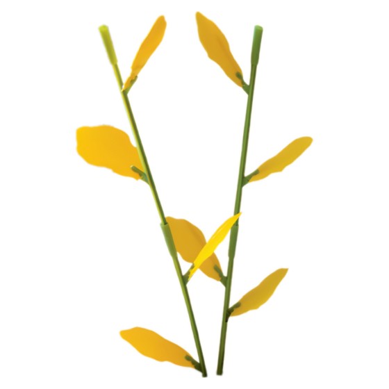 Piège englué floral anti insectes