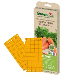 Piège englué chromatique oranges