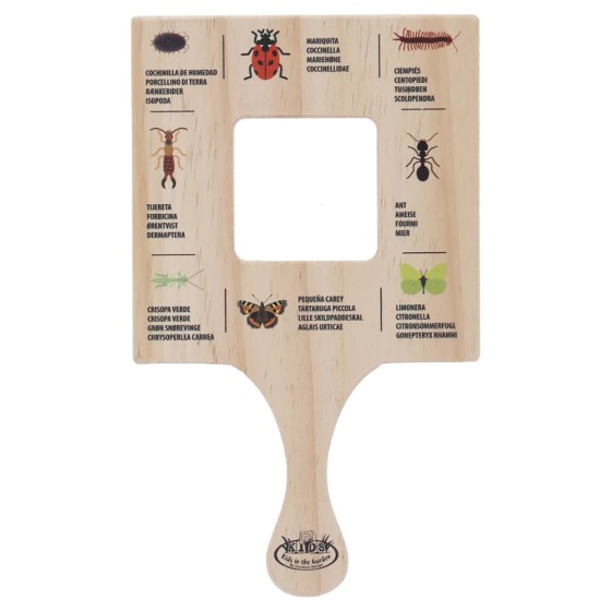 Cadre explorateur Insectes