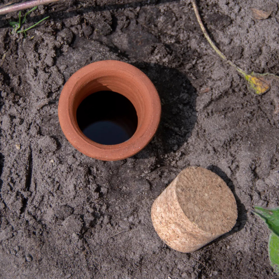 Arrosoir Olla pour plantes Taille L