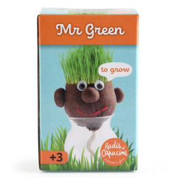 Mr Patate à faire pousser