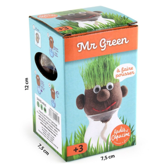 Mr Patate à faire pousser