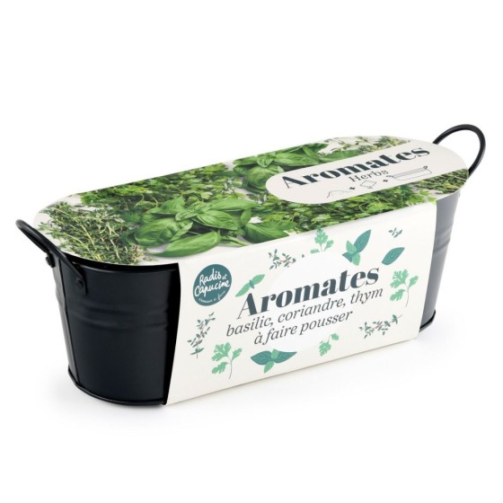 Jardinière zinc noir 30 cm - Aromates