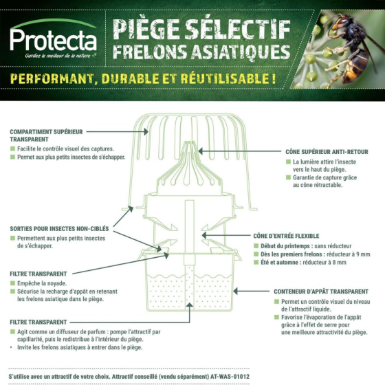Piège sélectif pour frelons asiatiques