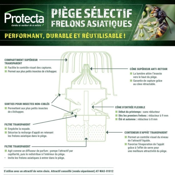 Piège sélectif pour frelons asiatiques