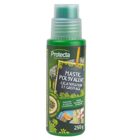 Mastic polyvalent - 250gr