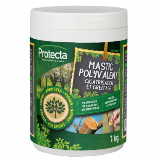 Mastic polyvalent - 1kg