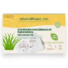 Nématodes HB contre vers blancs et hannetons - 500 millions - 1000 m²