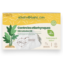 Nématodes HB contre otiorhynques - 250 millions - 500 m²
