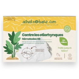Nématodes HB contre otiorhynques - 250 millions - 500 m²