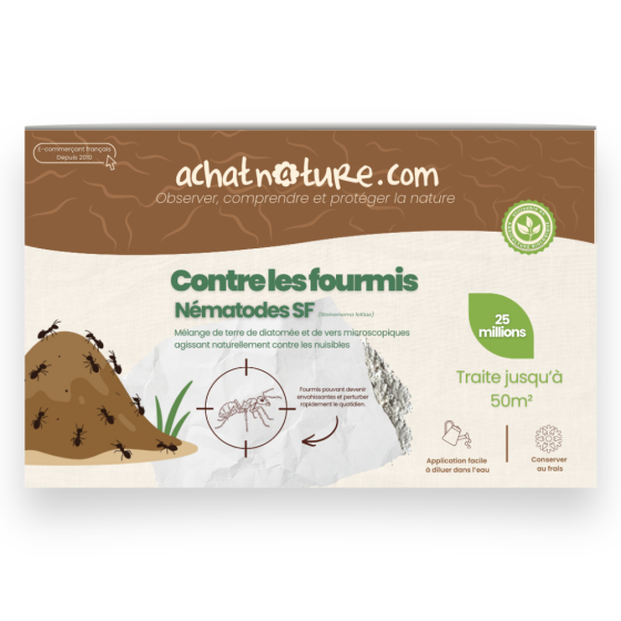 Nématodes SF contre fourmis - 25 millions - 50 m²