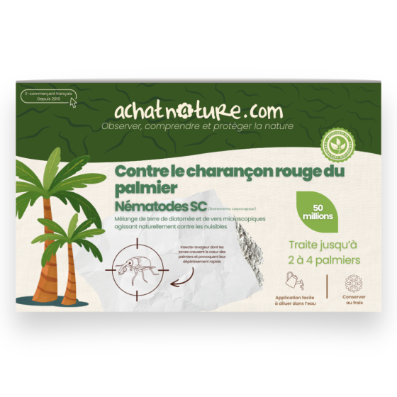 Nématodes SC contre charançon rouge du palmier - 50 millions - 2 à 4 palmiers