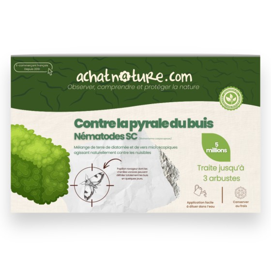 Nématodes SC contre pyrale du buis - 5 millions - 3 arbustes