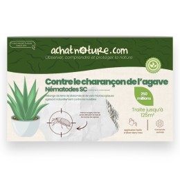 Nématodes SC contre charançon de l'agave - 250 millions - 125 m²