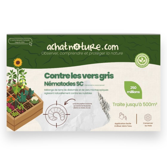 Nématodes SC contre vers gris - 250 millions - 500 m²
