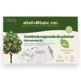 Nématodes SC contre capnode du pêcher - 5 millions - 1 arbres