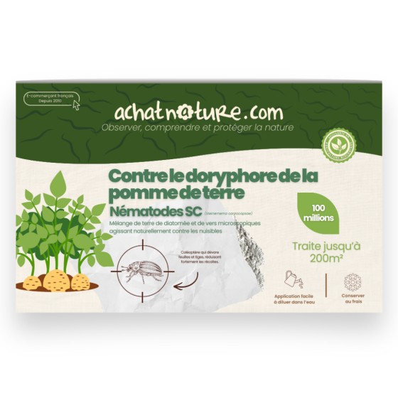Nématodes SC contre doryphore de la pomme de terre - 100 millions - 200 m²
