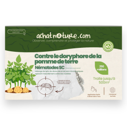 Nématodes SC contre doryphore de la pomme de terre - 250 millions - 500 m²